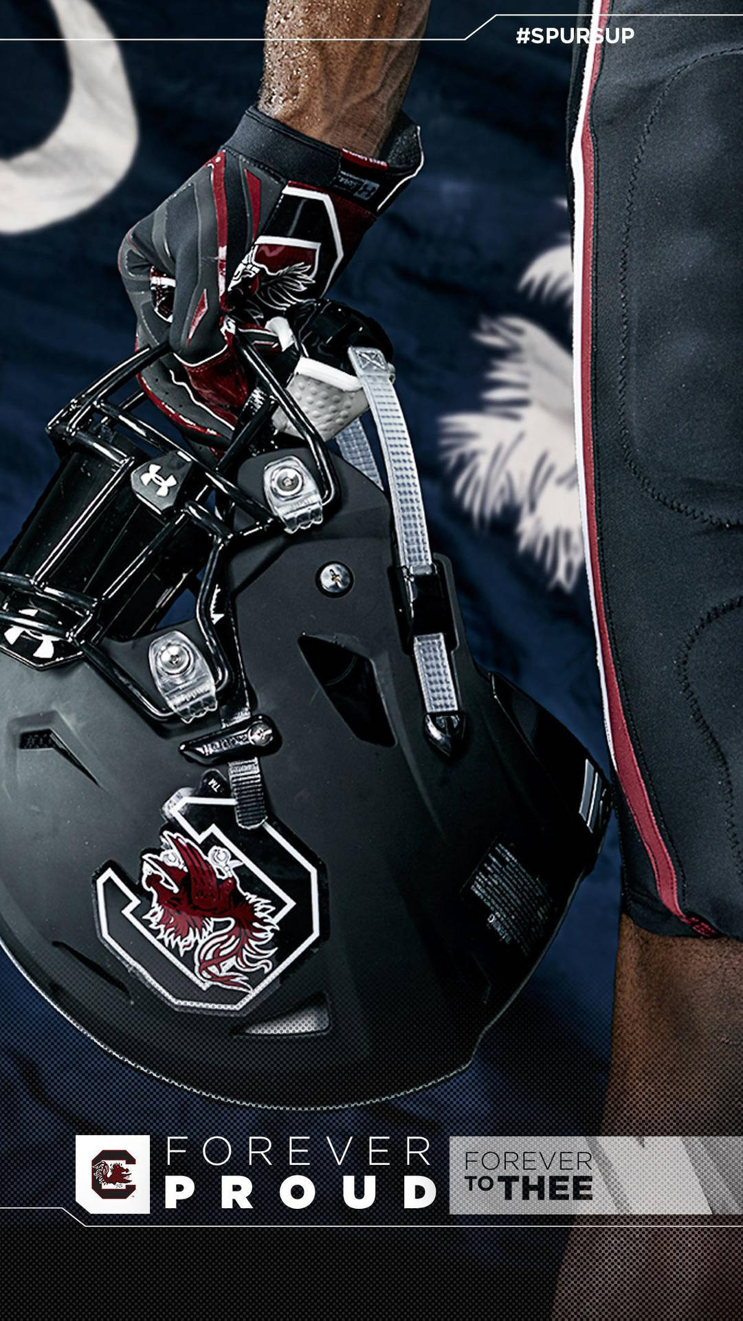 South Carolina Gamecocks Black Helmet Player