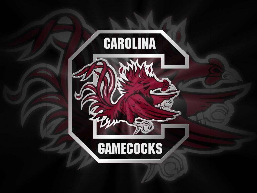 South Carolina Gamecocks Black Logo Blurr Background