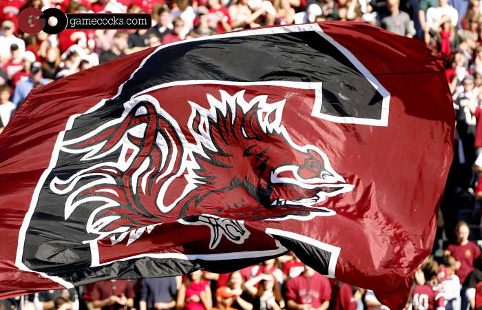 South Carolina Gamecocks Flag Waving