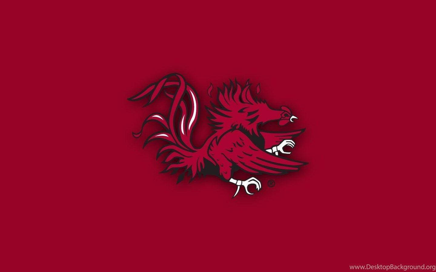 South Carolina Gamecocks Full Red Canvas Logo Background