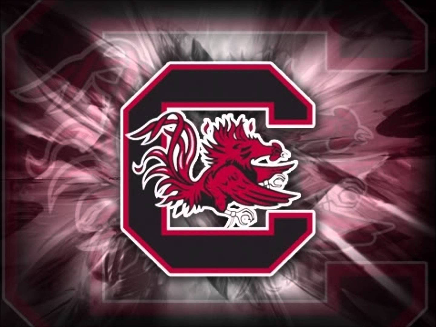 South Carolina Gamecocks Graphic Action Art