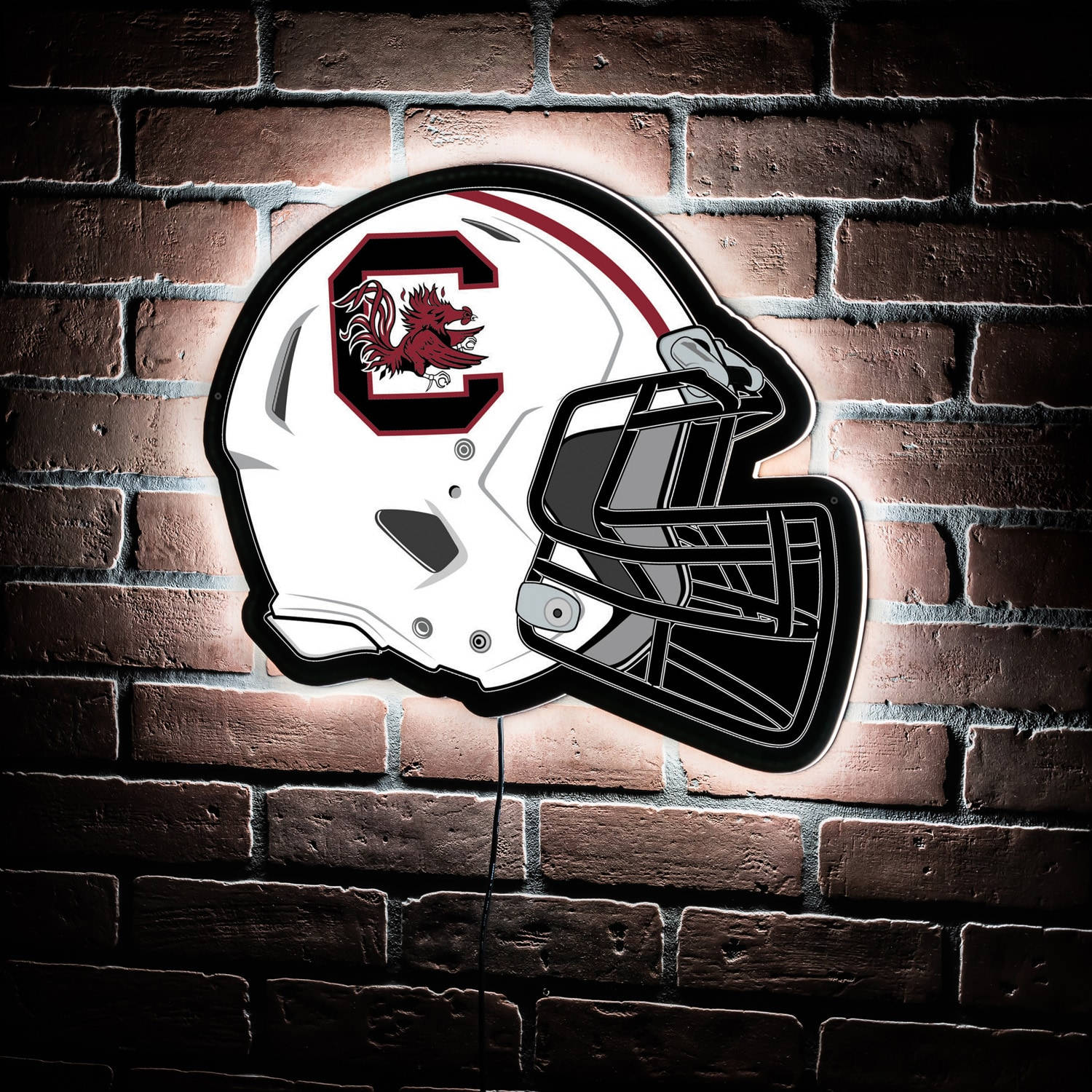 South Carolina Gamecocks Helmet Wall Paint