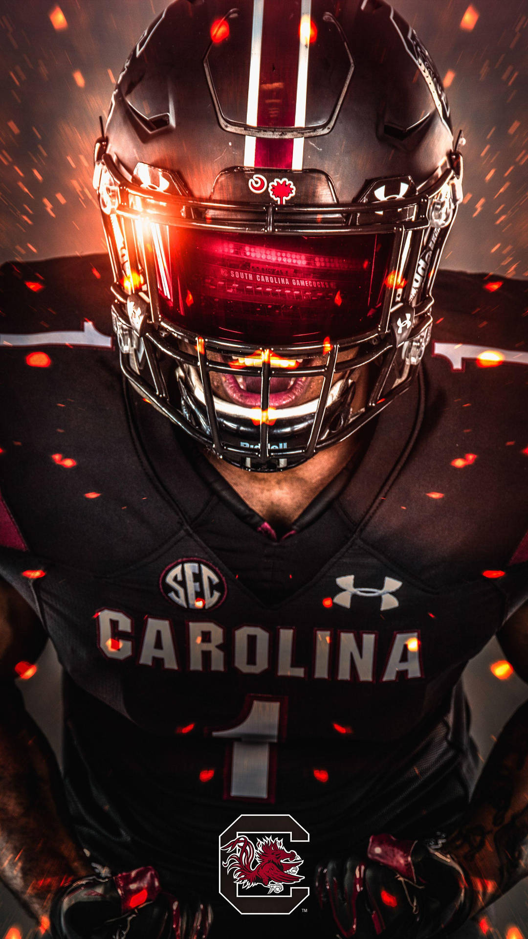 South Carolina Gamecocks Raging Portrait Art