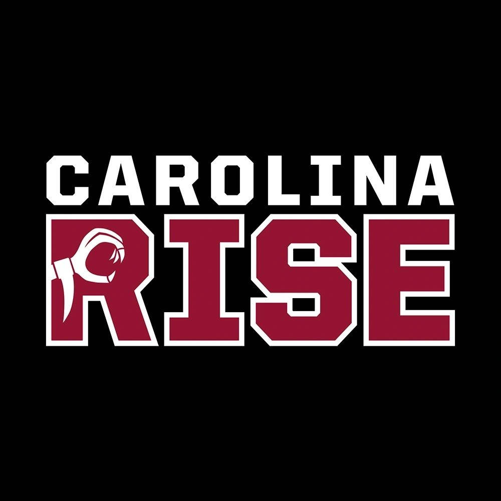 South Carolina Gamecocks Rise Motto Art