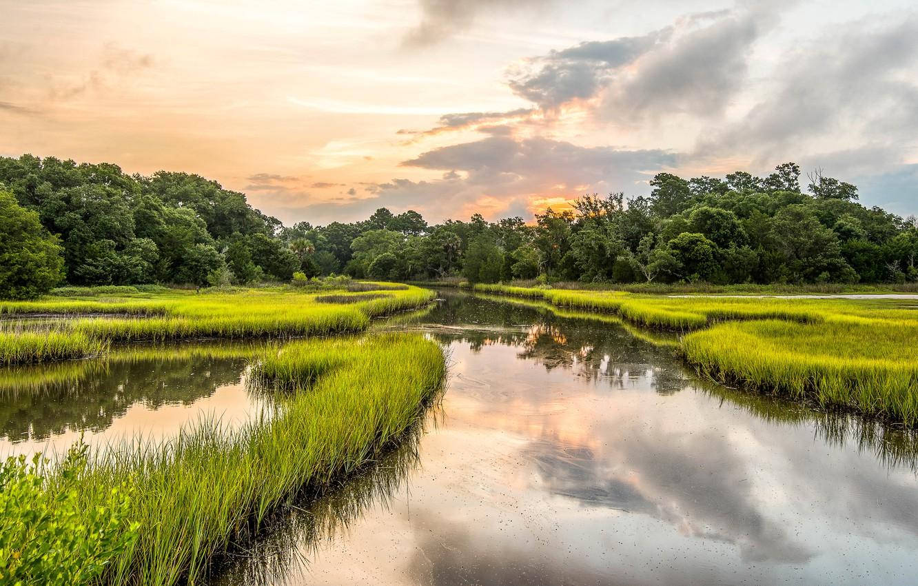 South Carolina Plantation Background