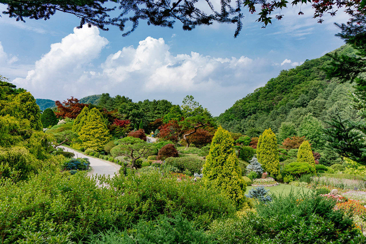 South Korea Arboretum