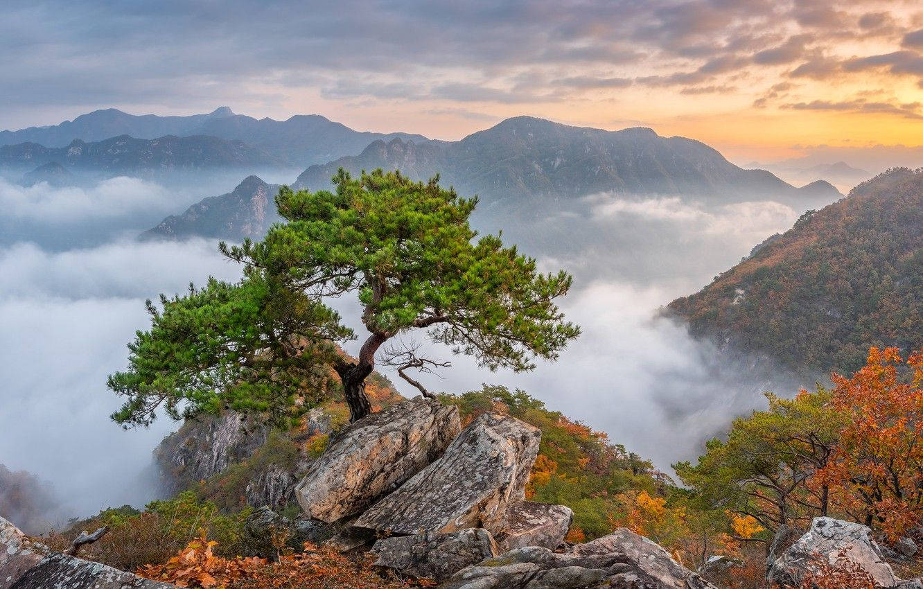 South Korea Foggy Mountain Background