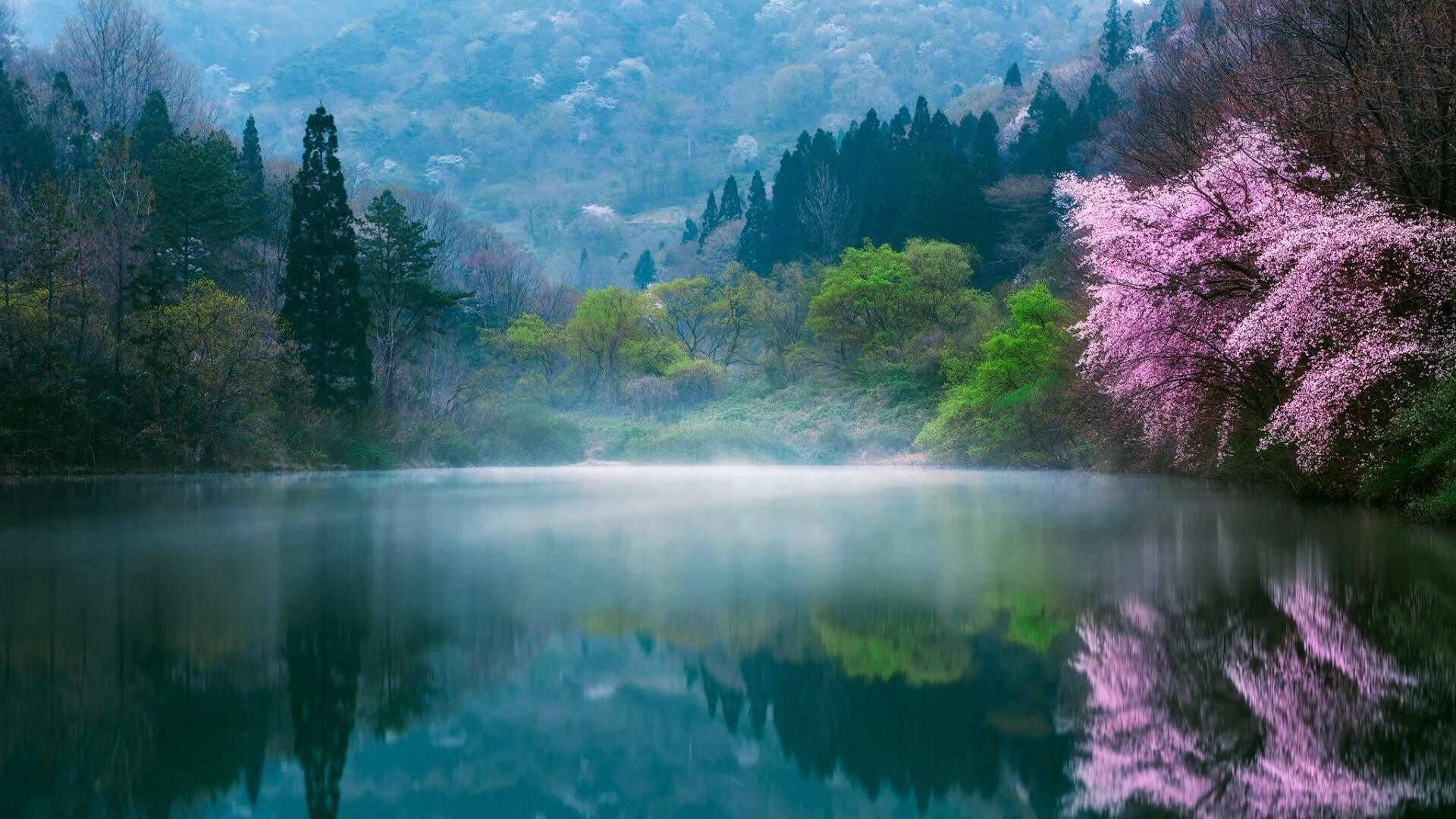 South Korea Hd Lake Landscape Background