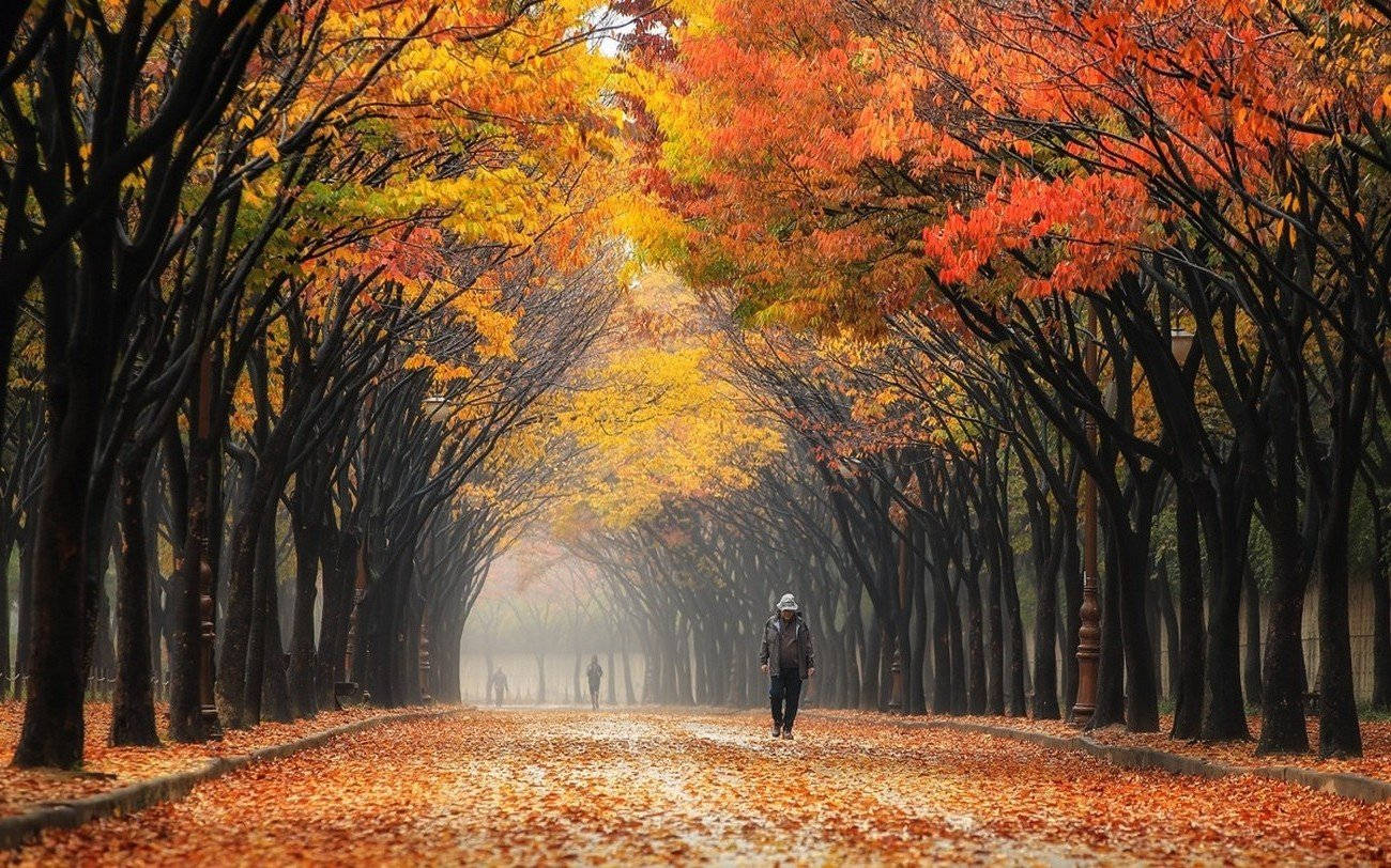 South Korea Incheon Grand Park Background