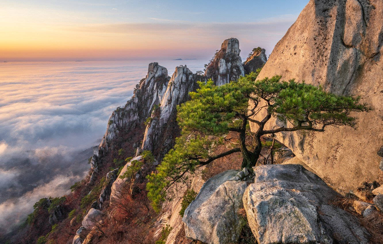 South Korea Mountainside Sunrise Background