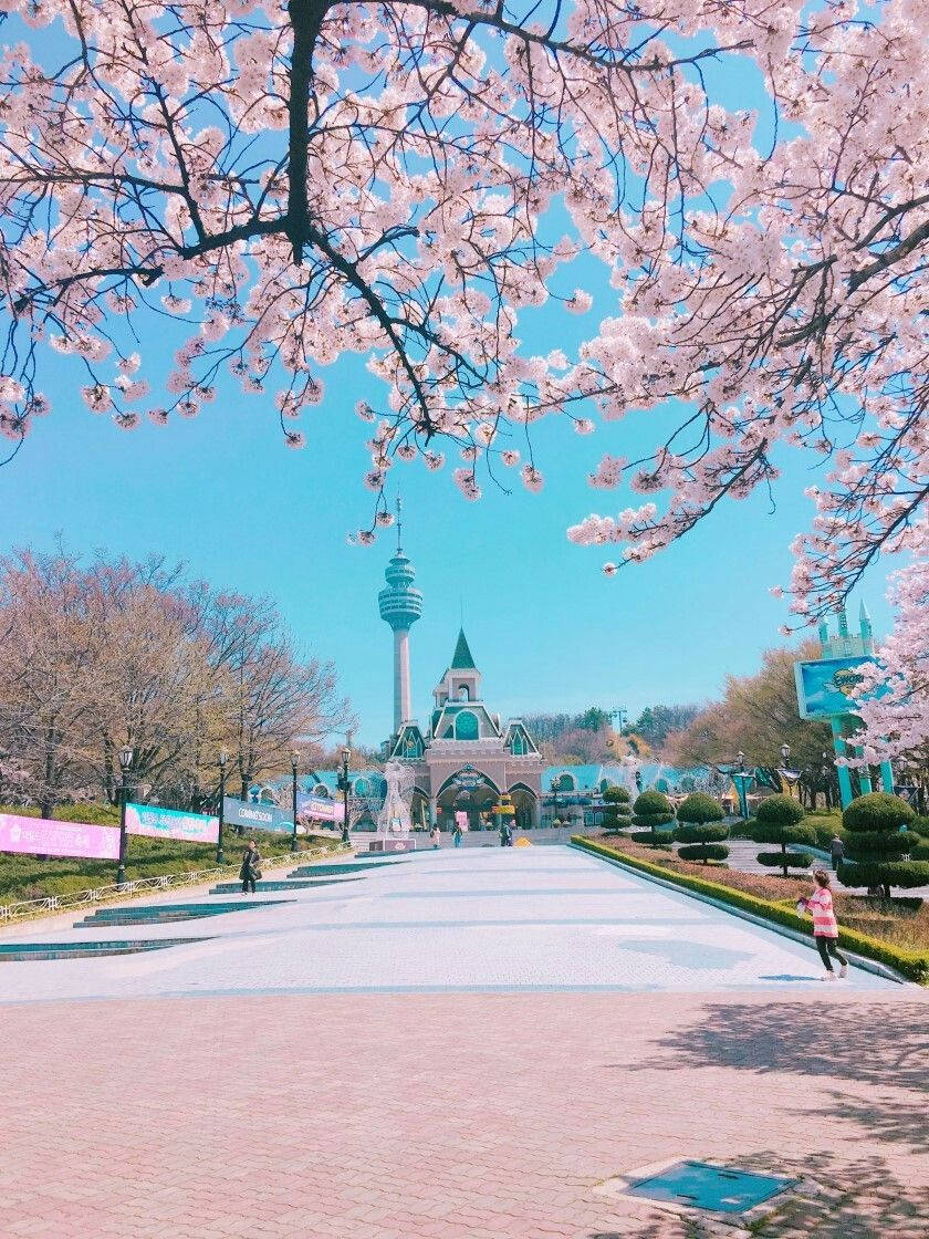 South Korea Namsan Tower Background