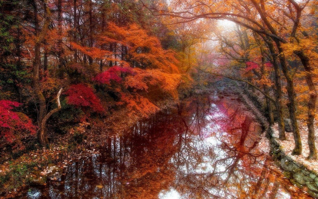 South Korea Reiver During Autumn Background