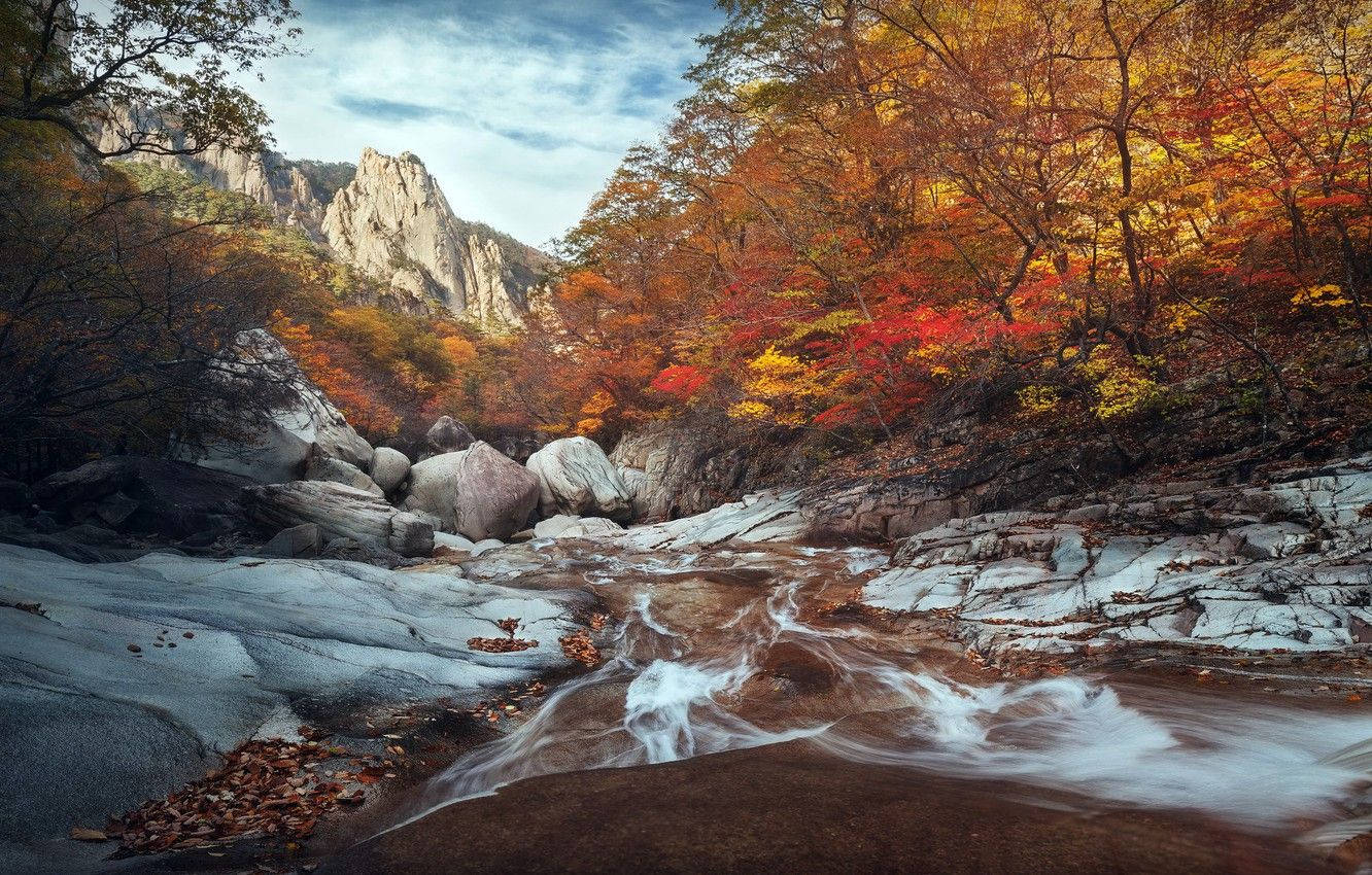 South Korea River During Autumn