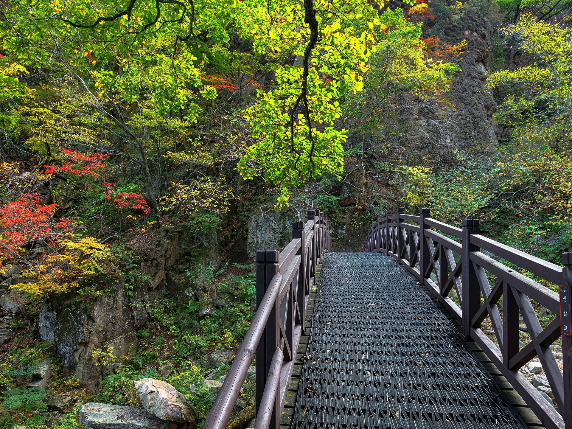 South Korea Seoraksan National Park Background