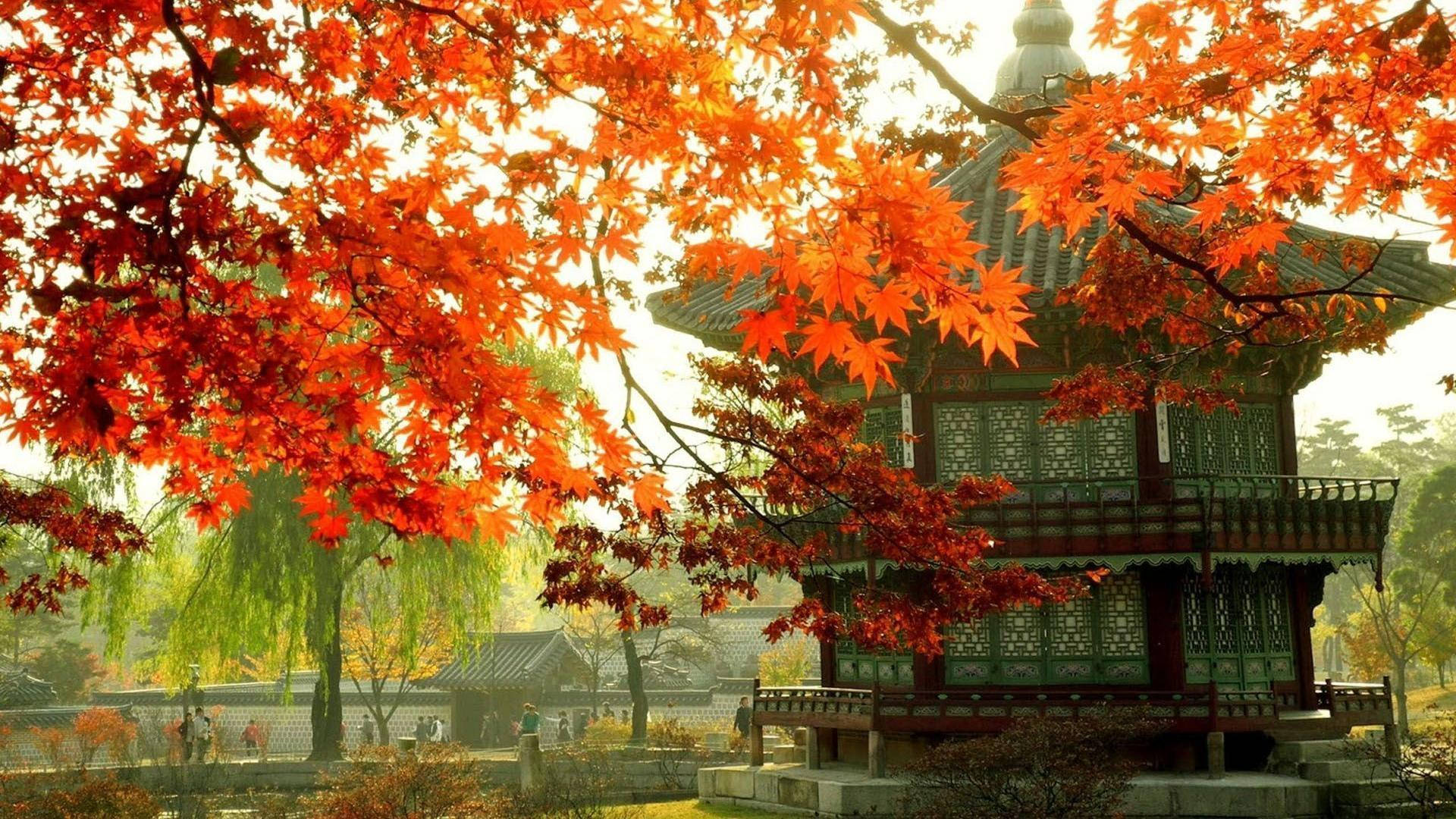South Korean Palace