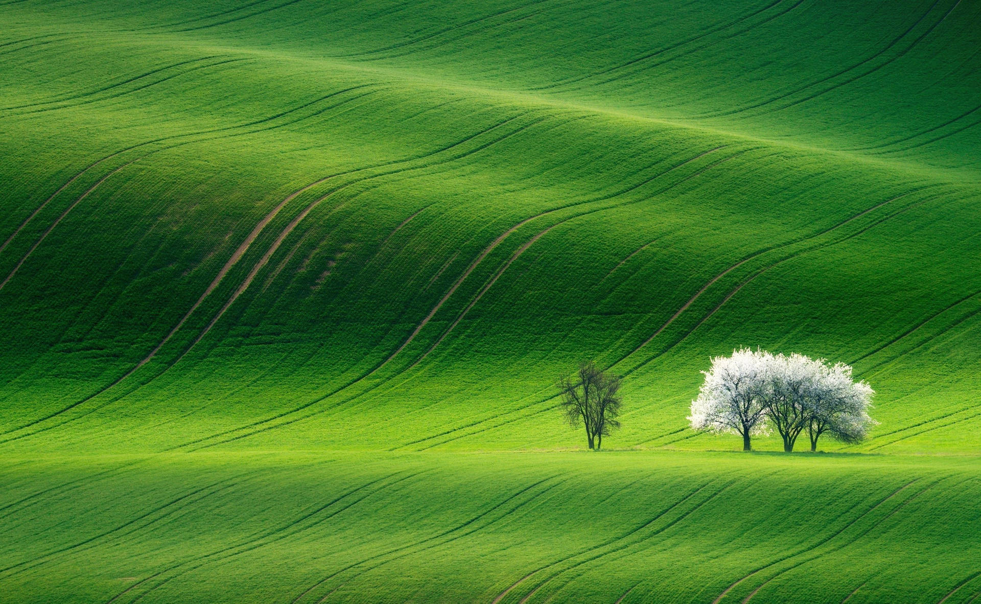 South Moravia Green Hill