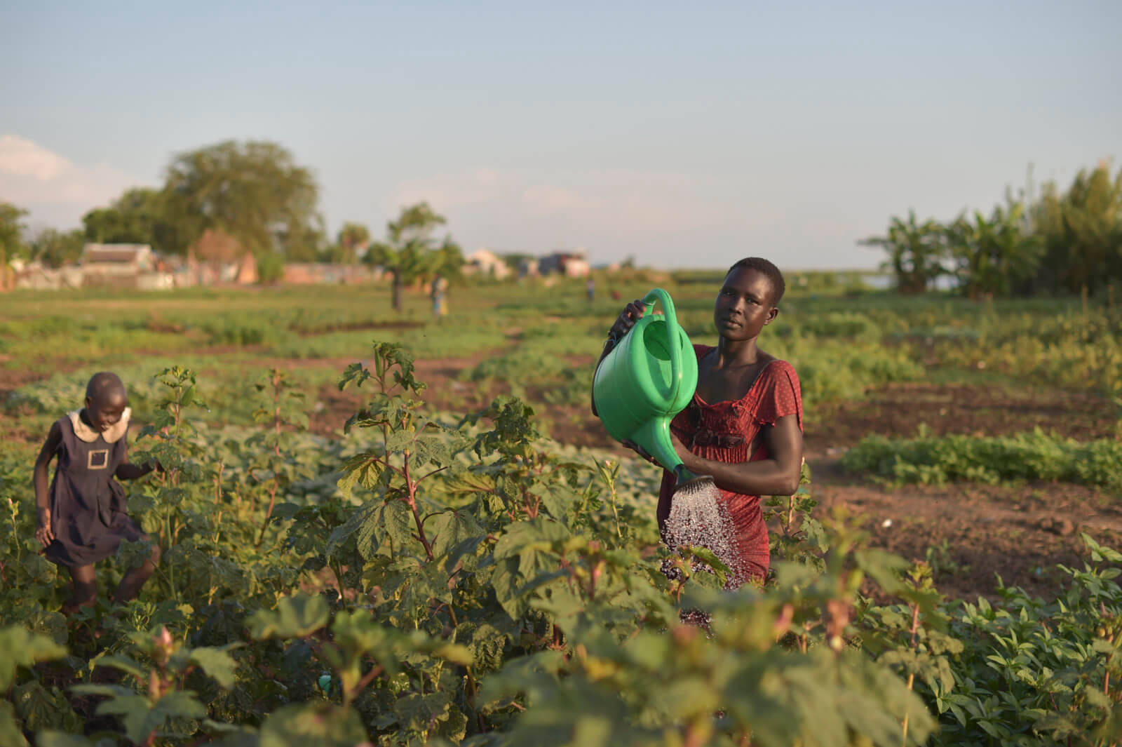 South Sudan Green Watering Can