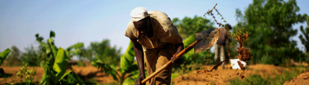 South Sudan Man Digging Shovel Background