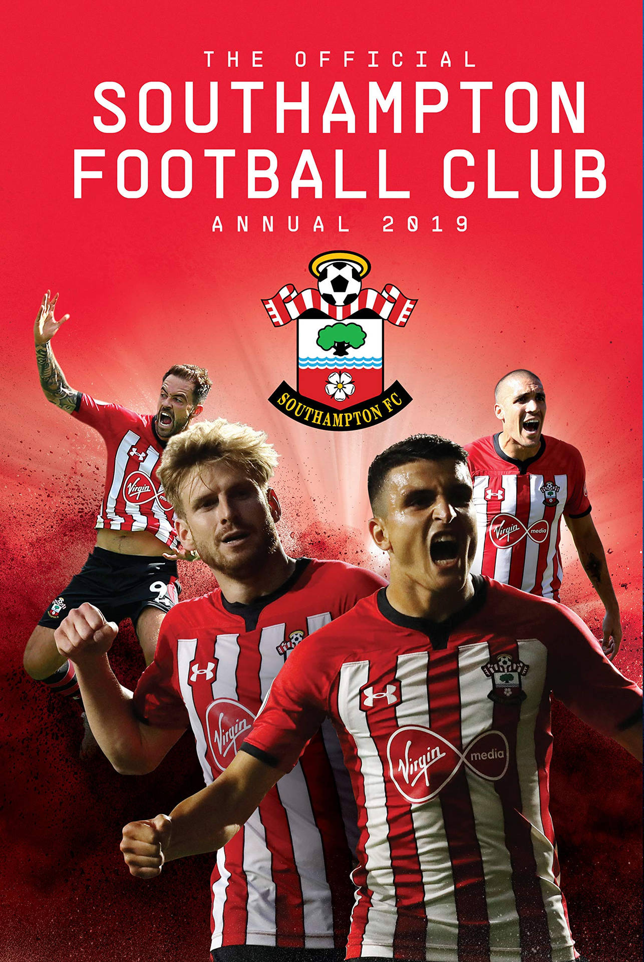 Southampton Fc 2019 Poster Background