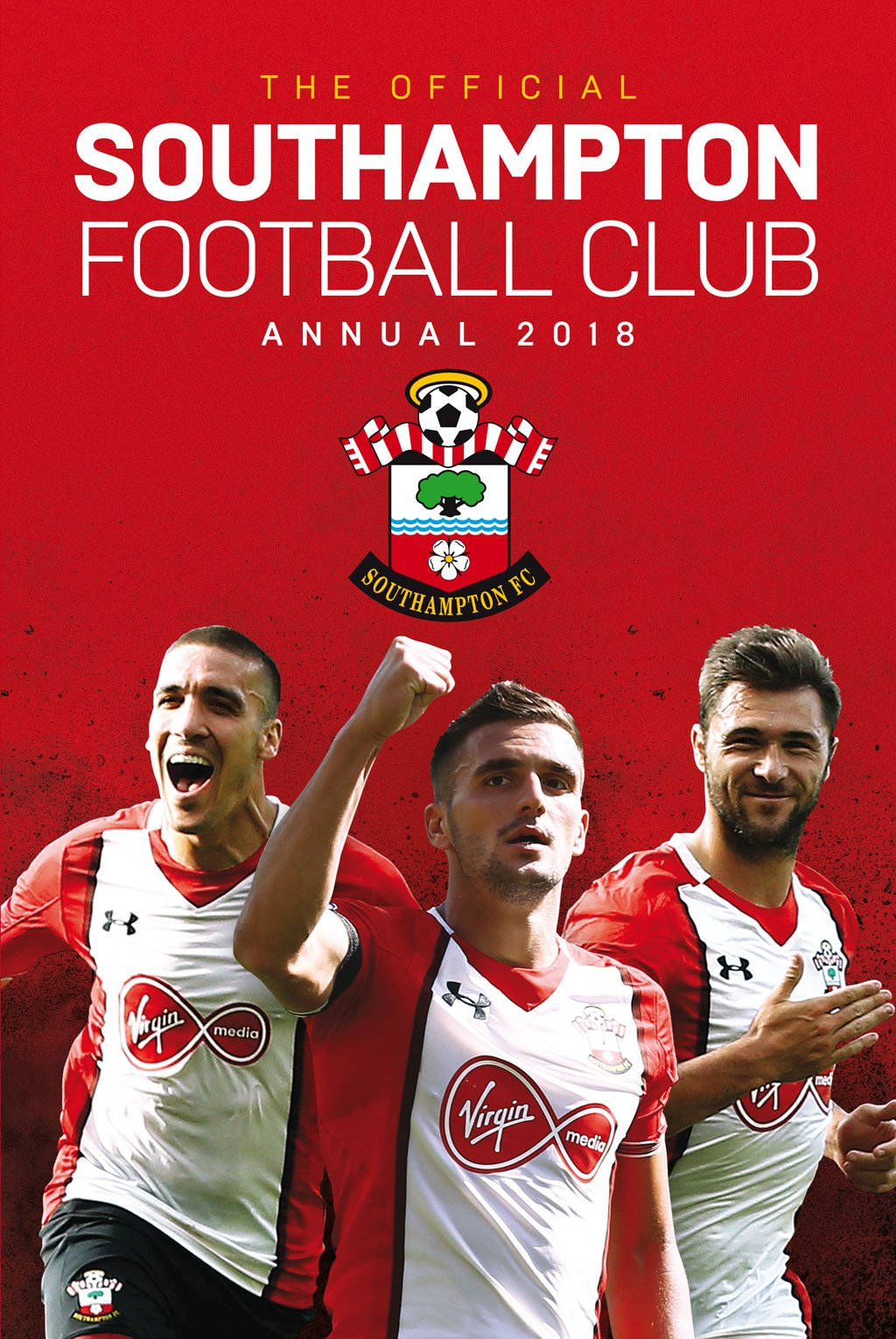 Southampton Fc Poster Background