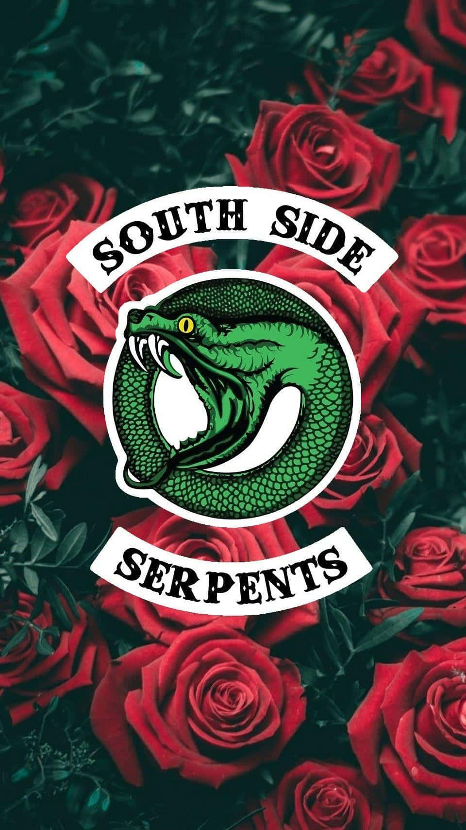 Southside Serpents: A Force To Be Reckoned With Background