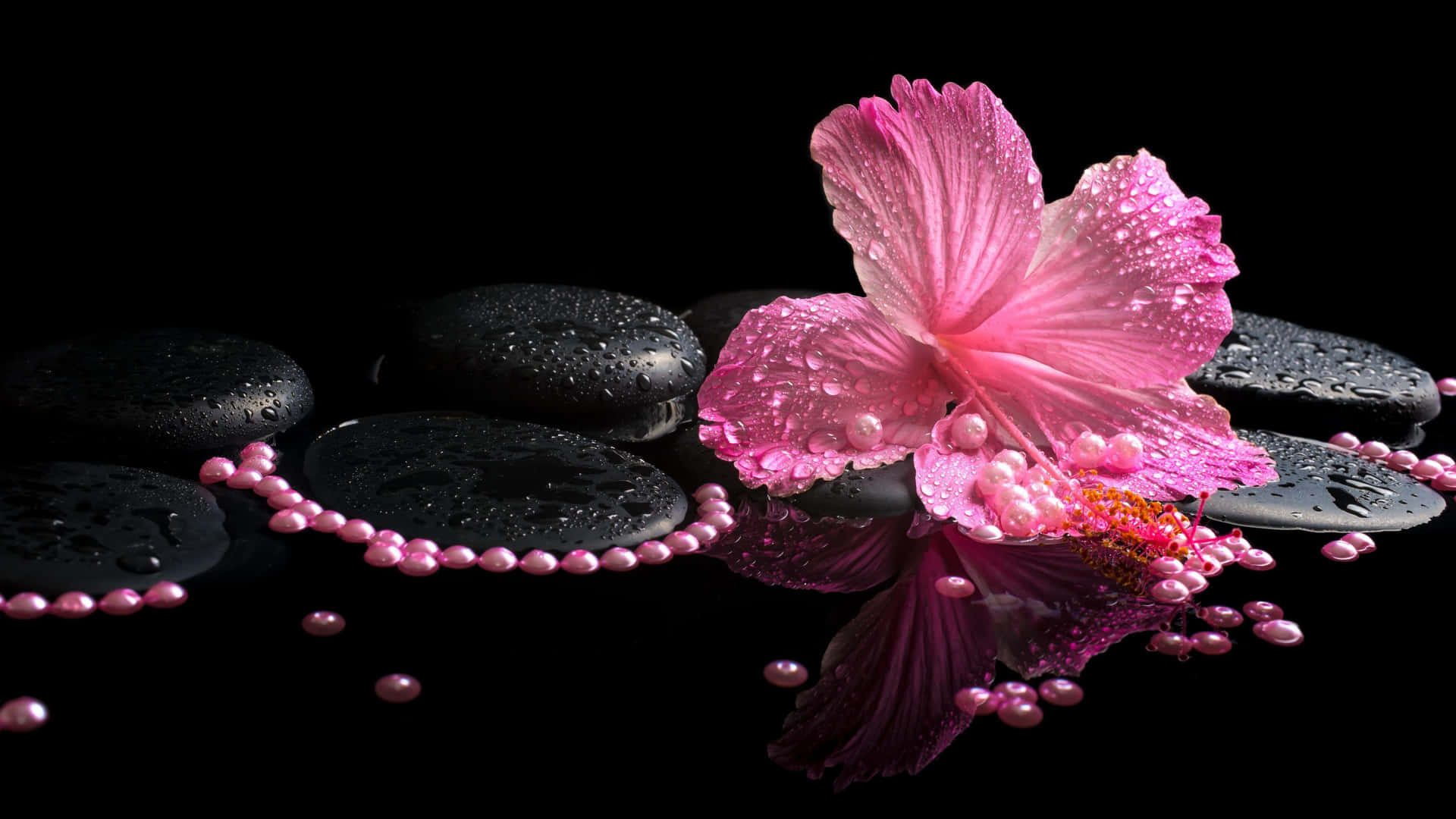 Spa Concept Pink Flowerand Stones Background