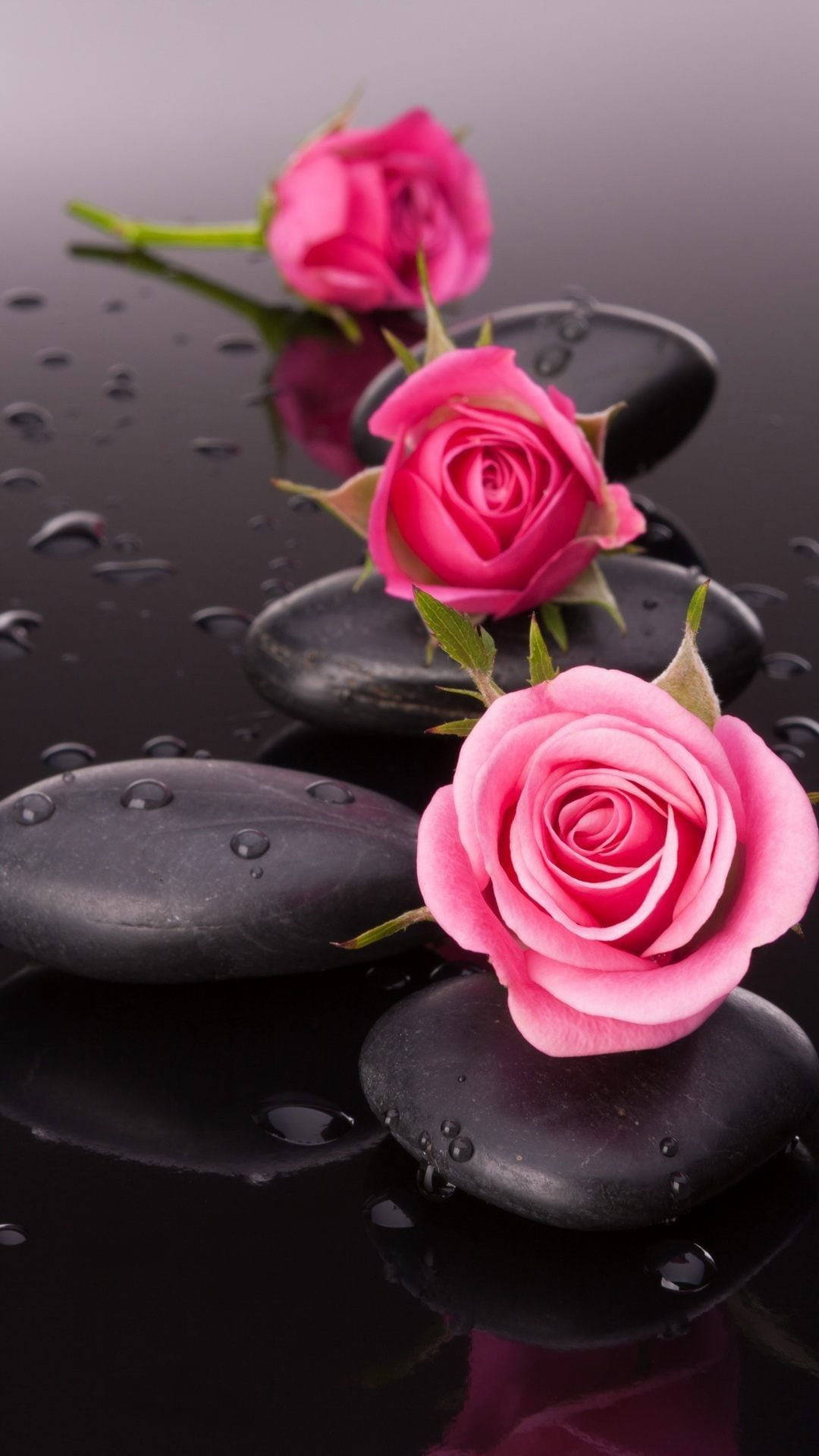 Spa Stone And Pink Roses Flower Mobile