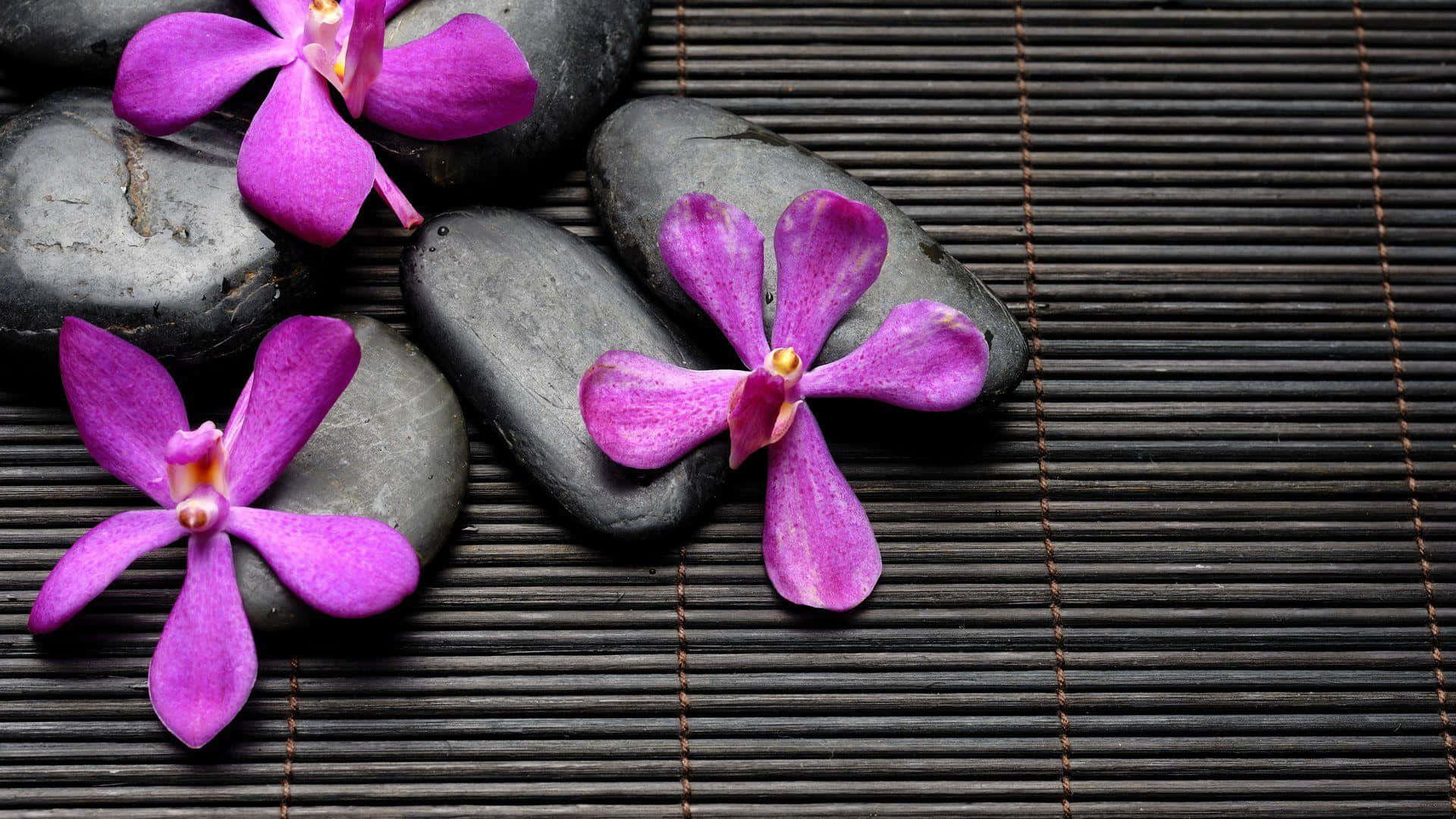 Spa Wellness Orchidsand Stones