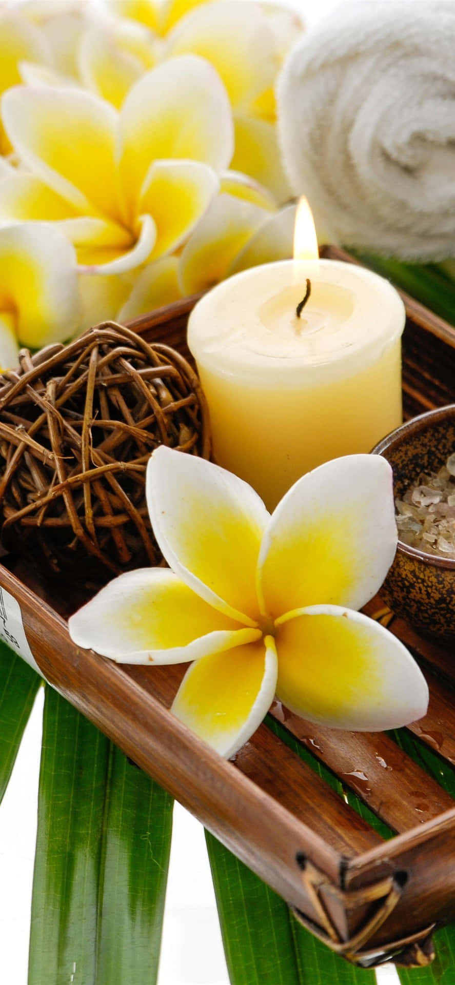 Spa Wellness Setup.jpg Background