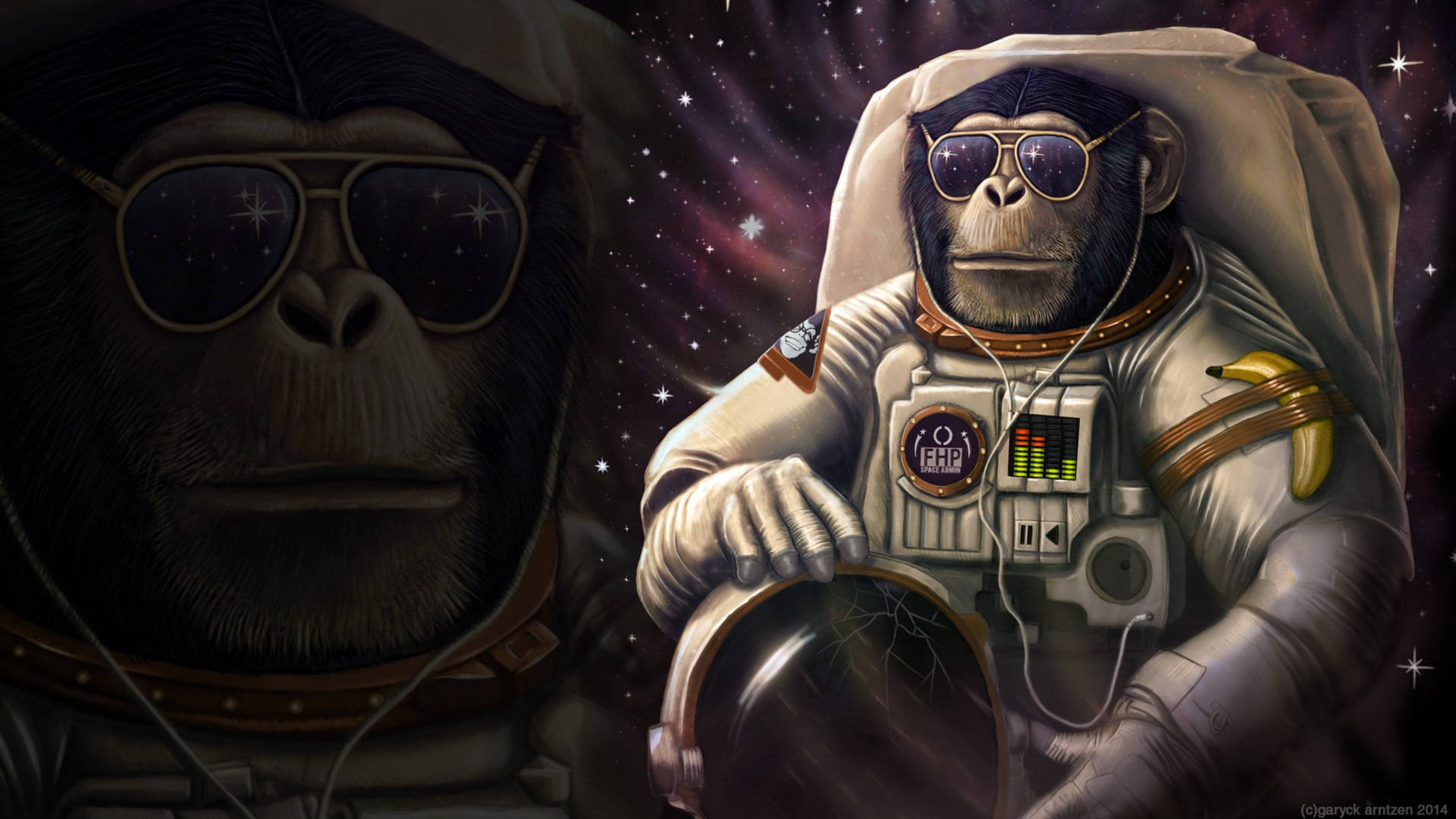 Space Chimpanzee Background