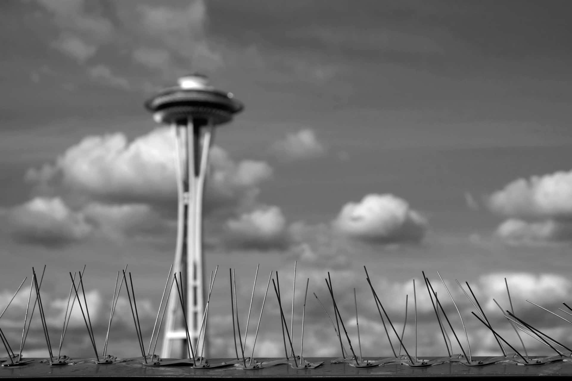 Space Needle In Black And White Background