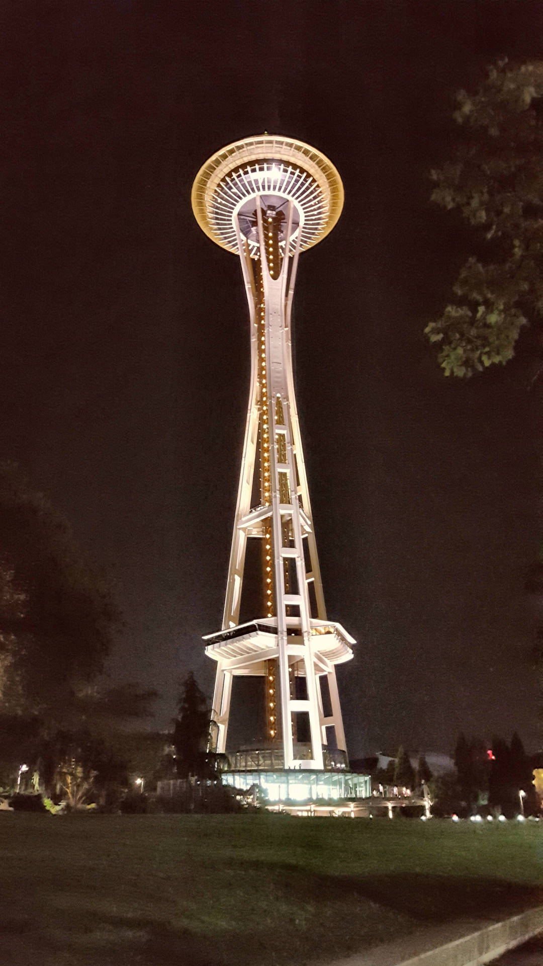 Space Needle Night Illuminated Background