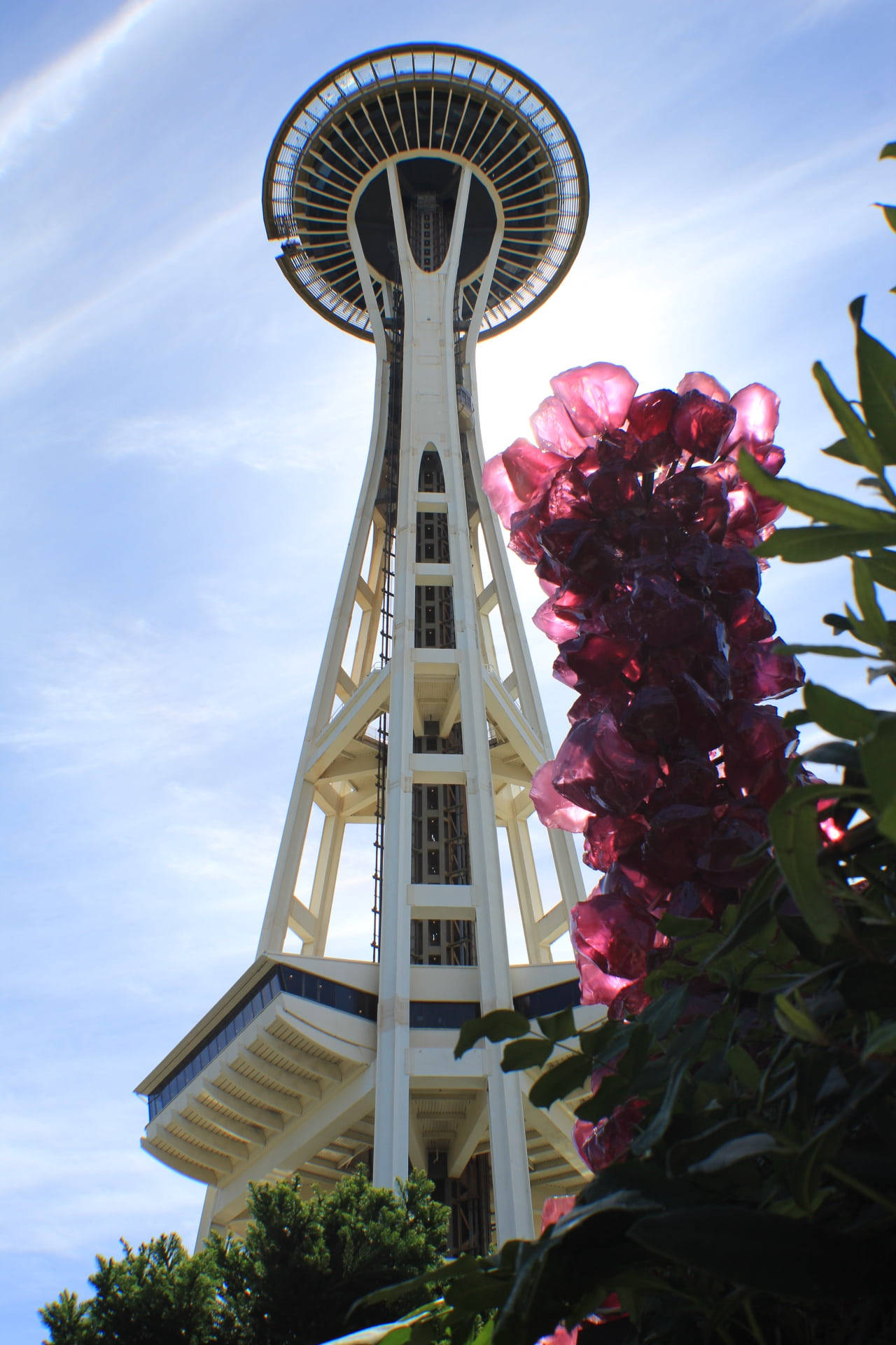 Space Needle Pink Flowers Background