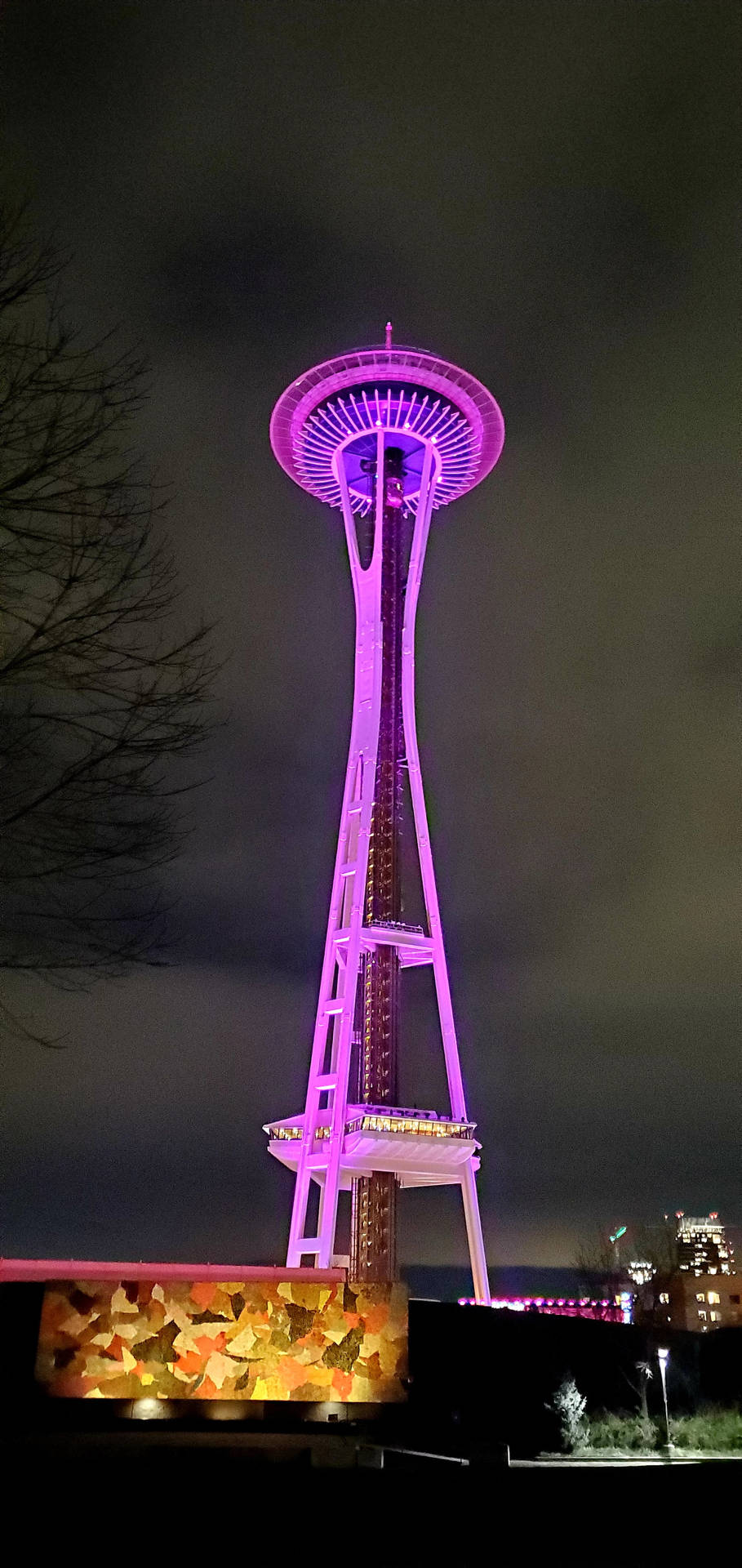 Space Needle Purple Lights Background