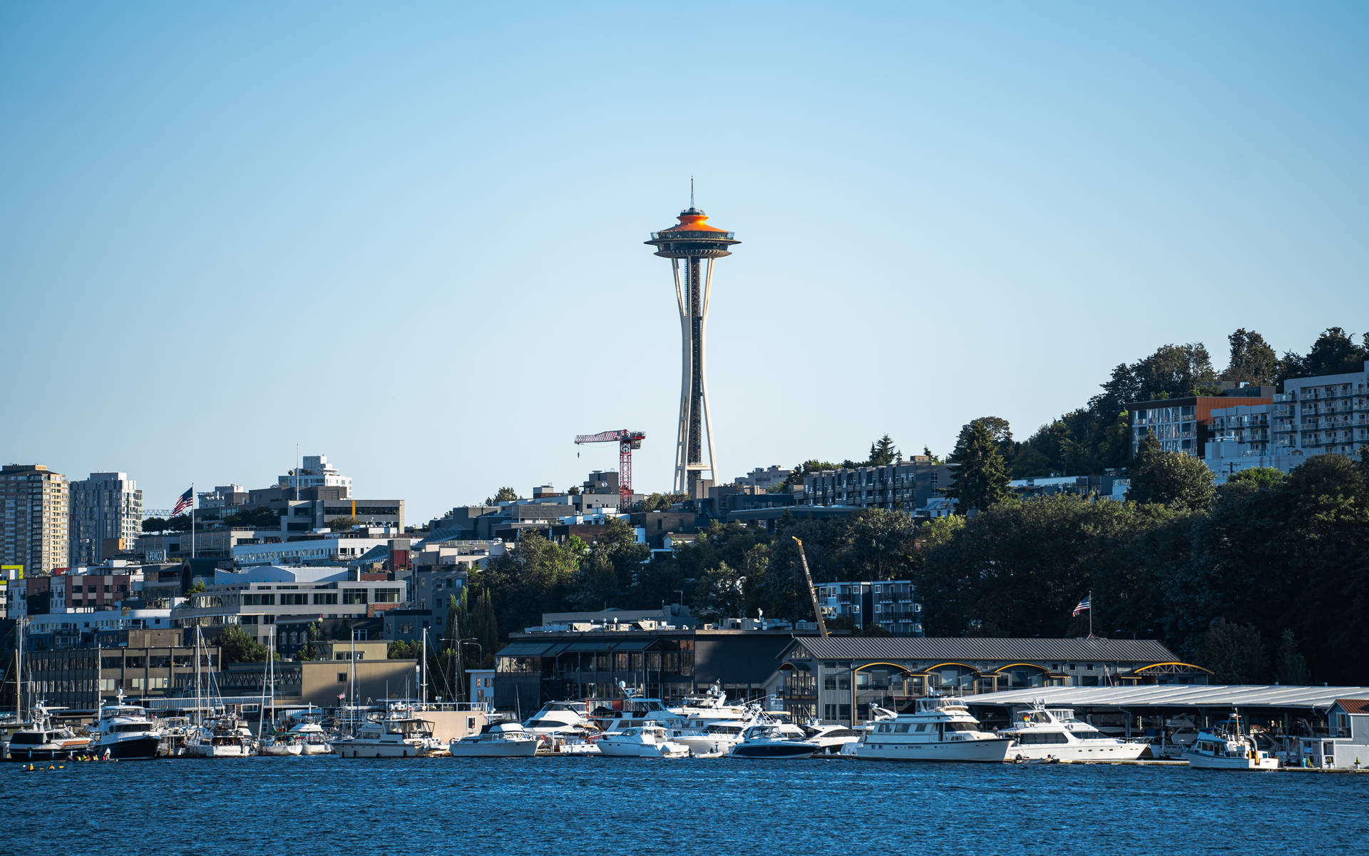 Space Needle Seattle 4k Background