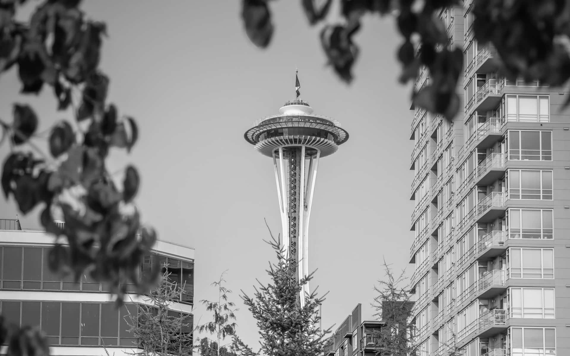 Space Needle Tower In Seattle Black And White Background