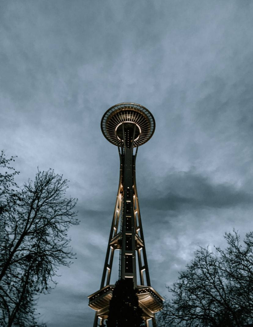 Space Needle With Trees Seattle Rain Background