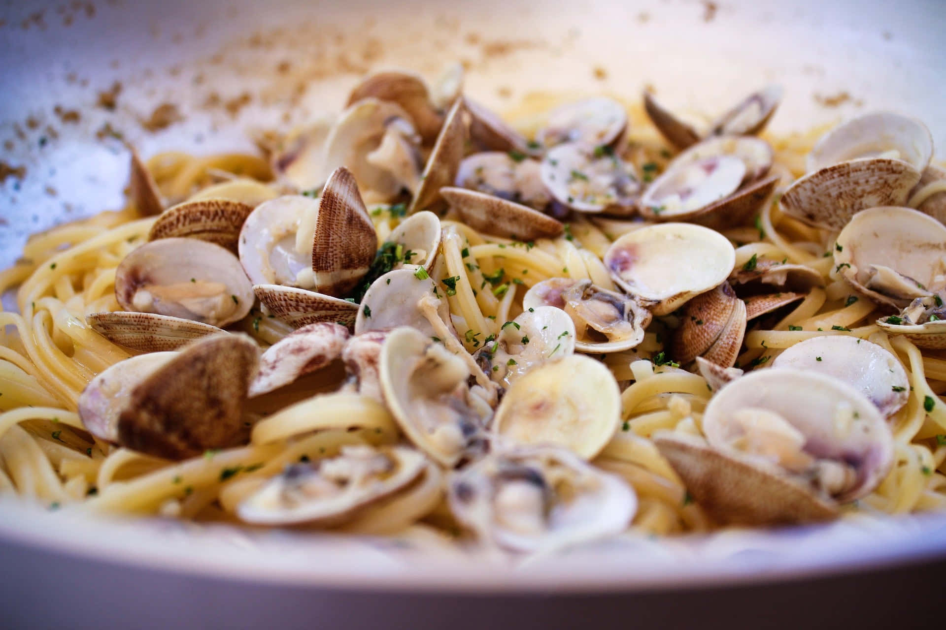 Spaghetti Alla Vongole Close Up Photography Background