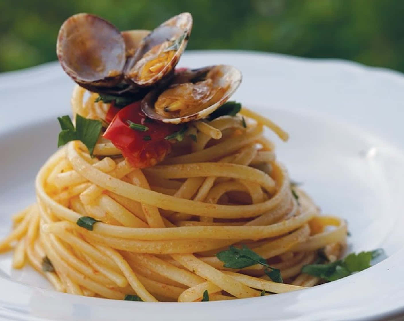 Spaghetti Alla Vongole In Beautiful Plating Background