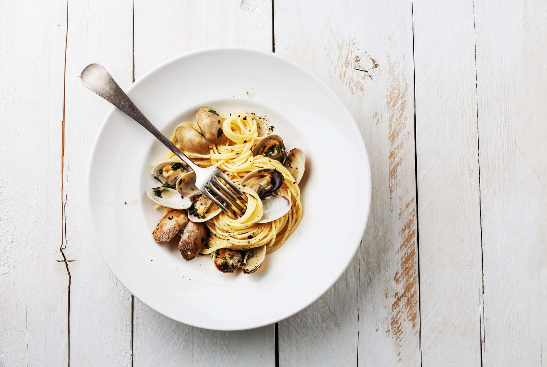 Spaghetti Alla Vongole Minimalist Food Photoshoot Background