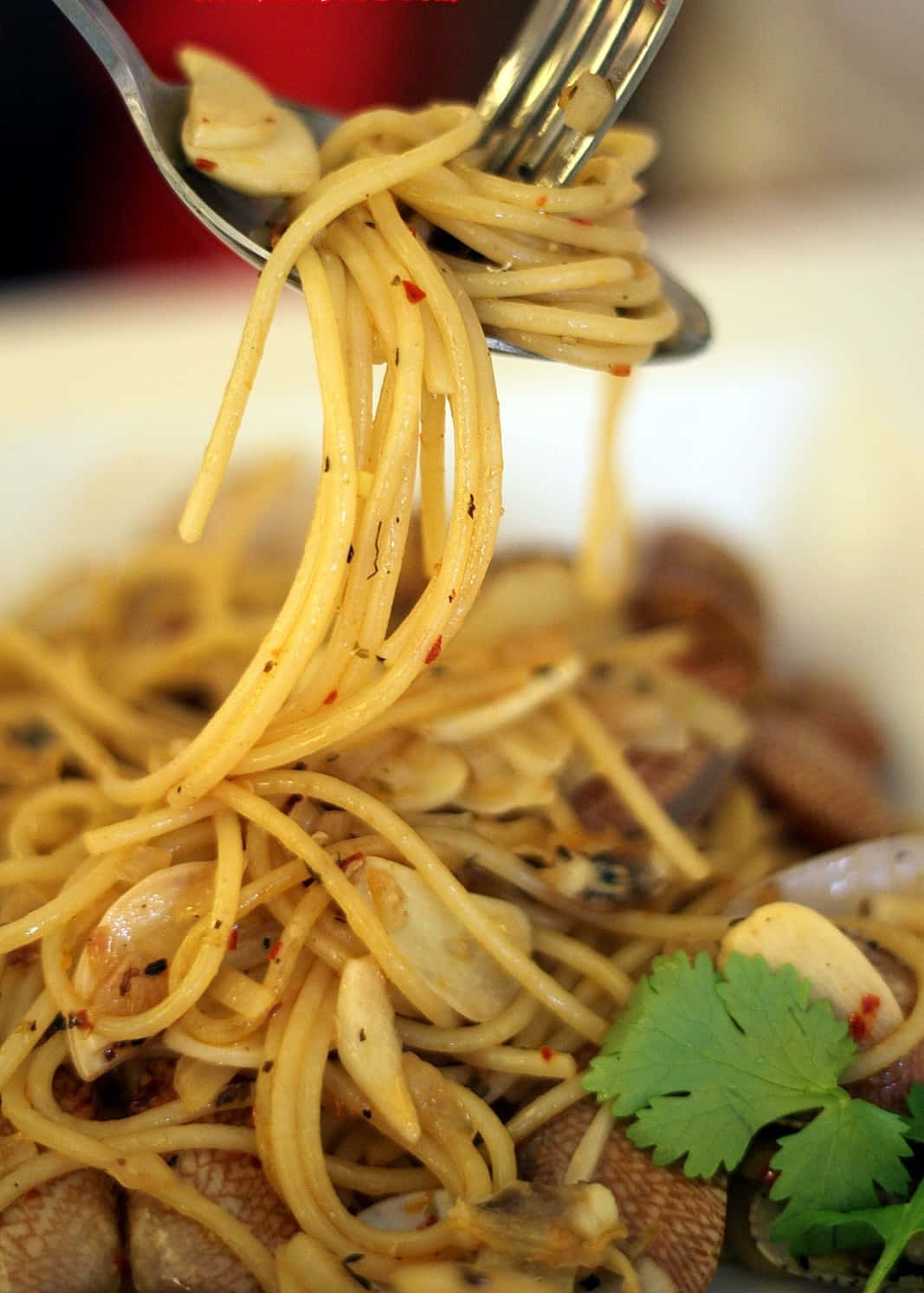 Spaghetti With Copious Seasoning Background