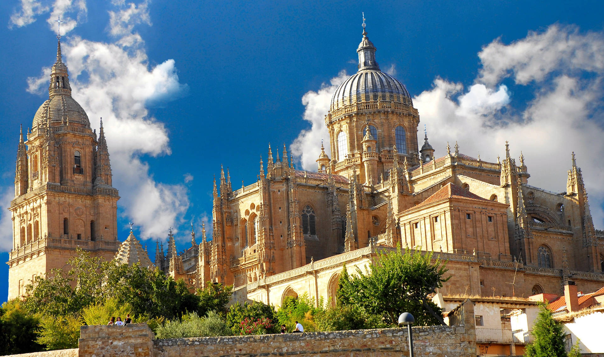 Spain New Cathedral Salamanca Background