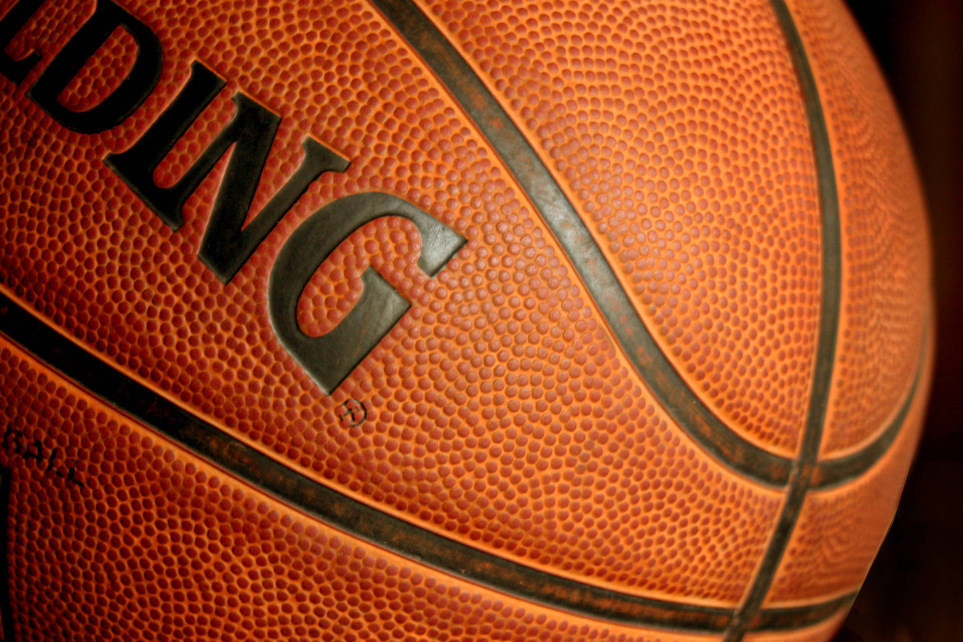 Spalding Basketball Ball Close Up Background