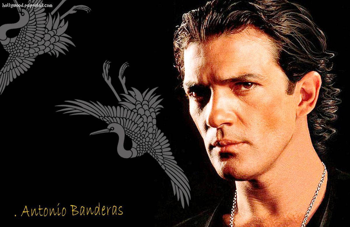 Spanish Celebrity Antonio Banderas