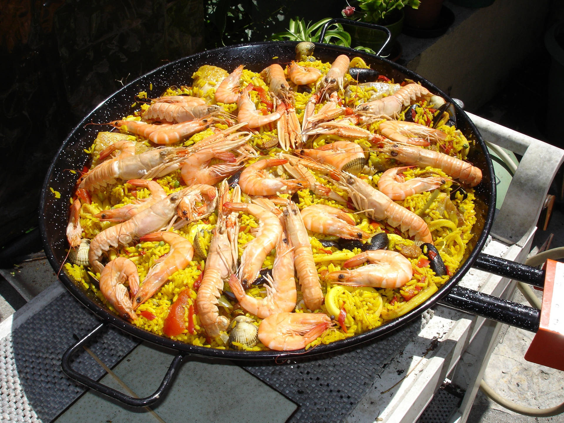 Spanish Paella Prawns On Yellow Rice