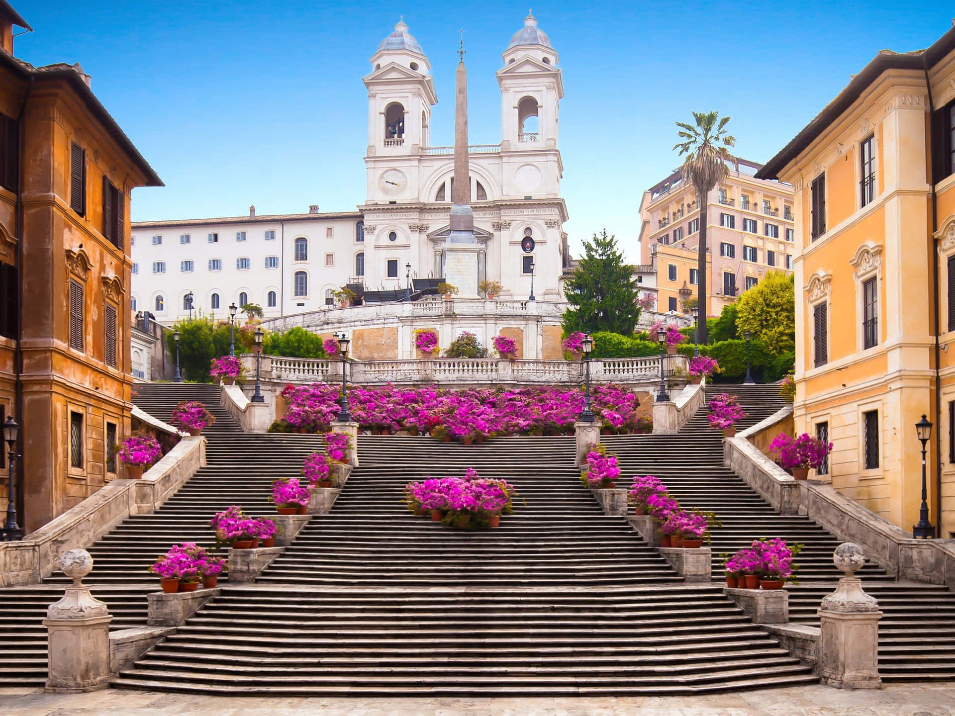 Spanish Steps Monument Pink Flowers Background