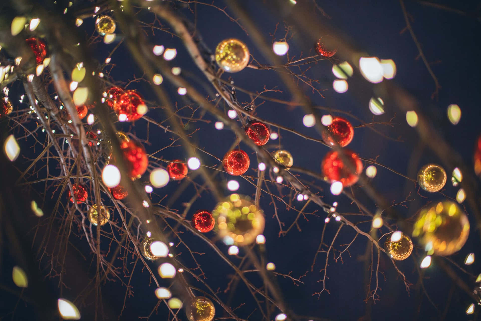 Sparkle In The Winter Background