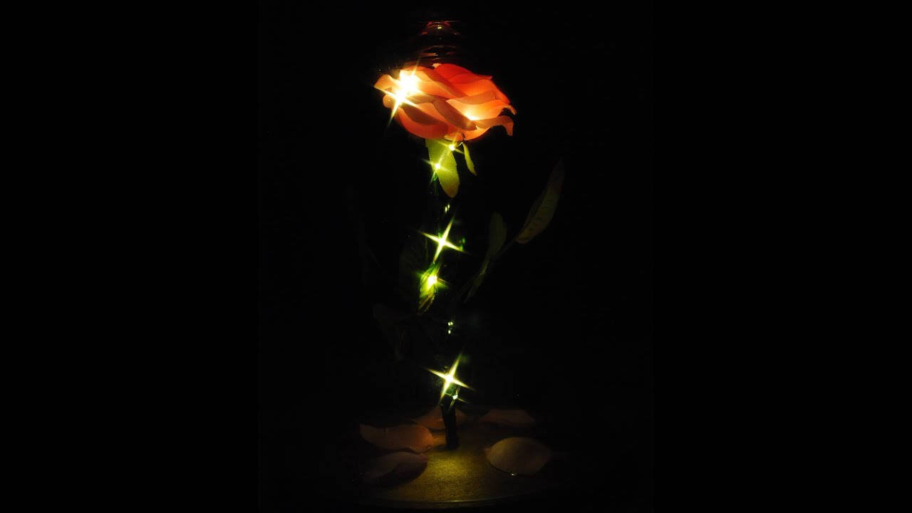 Sparkly Beauty And The Beast Rose