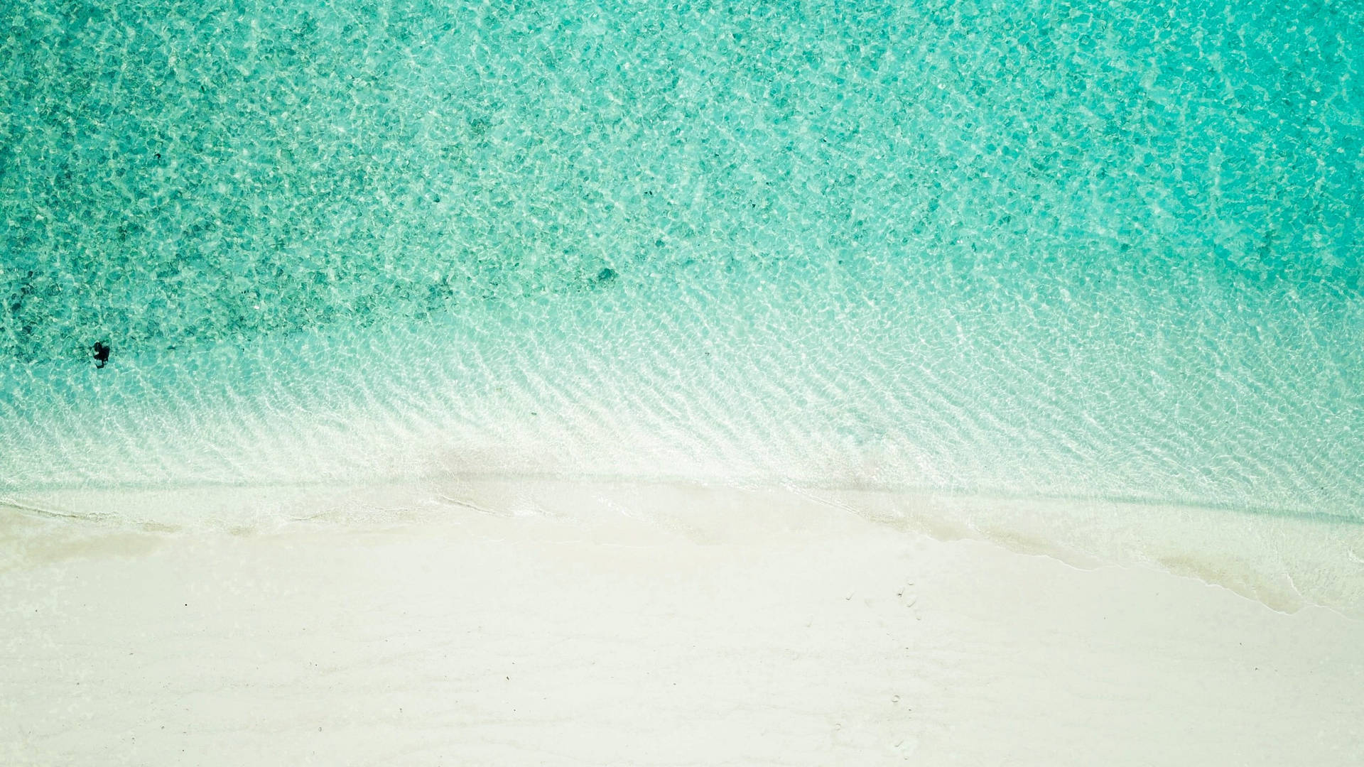 Sparkly Waters White Beach Background