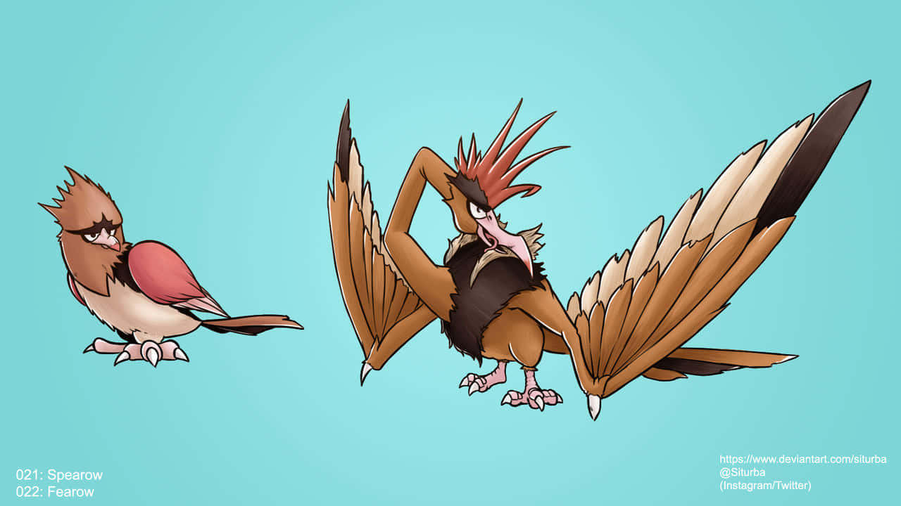 Spearow And Fearow Bright Blue Background